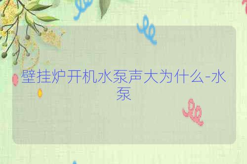壁挂炉开机水泵声大为什么-水泵