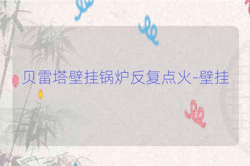 贝雷塔壁挂锅炉反复点火-壁挂