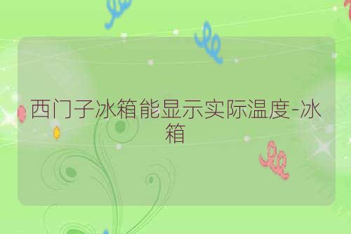 西门子冰箱能显示实际温度-冰箱