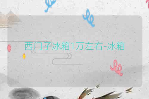西门子冰箱1万左右-冰箱
