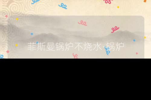 菲斯曼锅炉不烧水-锅炉