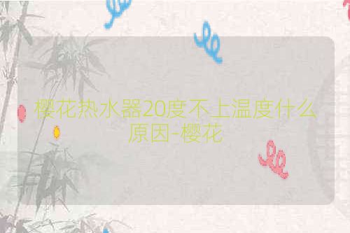 樱花热水器20度不上温度什么原因-樱花