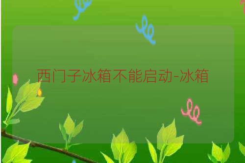 西门子冰箱不能启动-冰箱