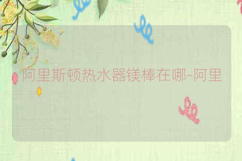 阿里斯顿热水器镁棒在哪-阿里