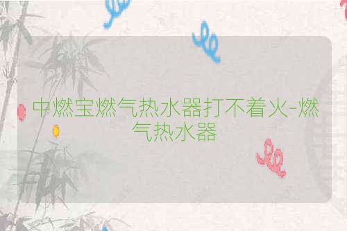 中燃宝燃气热水器打不着火-燃气热水器