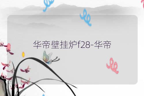 华帝壁挂炉f28-华帝