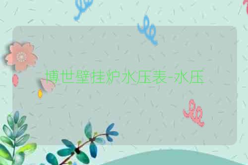 博世壁挂炉水压表-水压