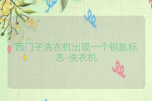 西门子洗衣机出现一个钥匙标志-洗衣机