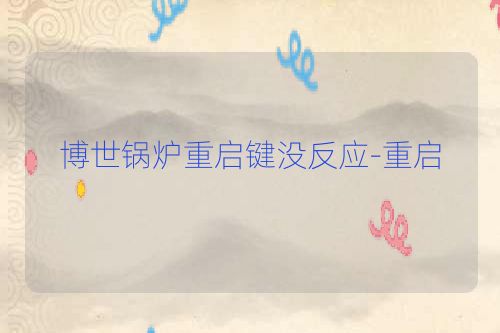 博世锅炉重启键没反应-重启