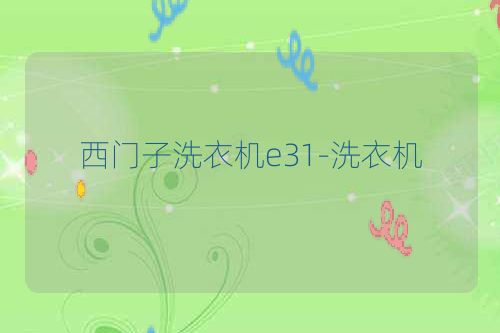 西门子洗衣机e31-洗衣机