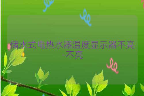 储水式电热水器温度显示器不亮-不亮