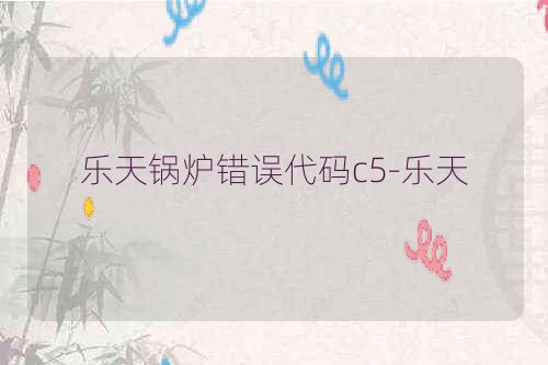 乐天锅炉错误代码c5-乐天