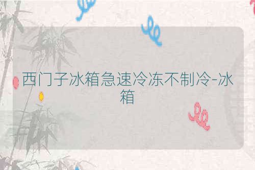 西门子冰箱急速冷冻不制冷-冰箱