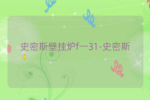 史密斯壁挂炉f一31-史密斯