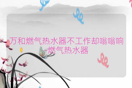 万和燃气热水器不工作却嗡嗡响-燃气热水器