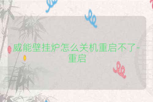 威能壁挂炉怎么关机重启不了-重启