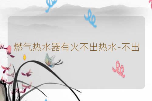 燃气热水器有火不出热水-不出