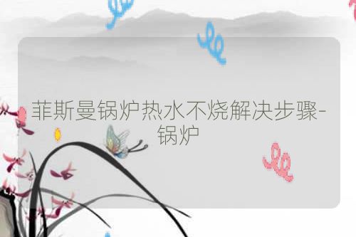菲斯曼锅炉热水不烧解决步骤-锅炉