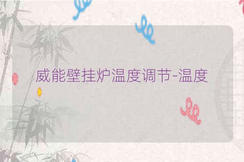 威能壁挂炉温度调节-温度