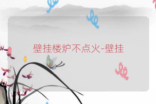 壁挂楼炉不点火-壁挂