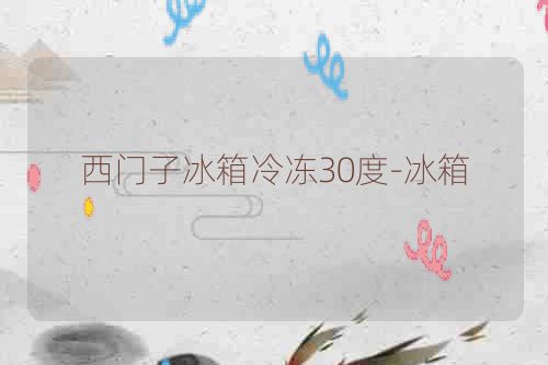 西门子冰箱冷冻30度-冰箱