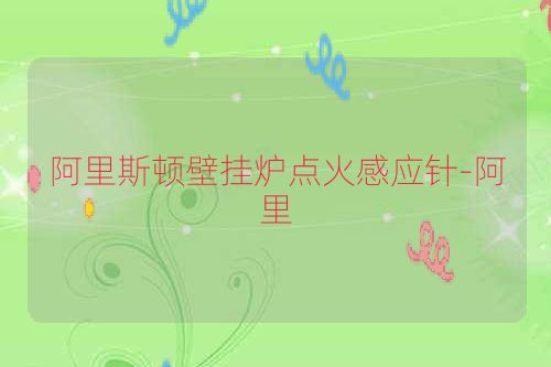 阿里斯顿壁挂炉点火感应针-阿里