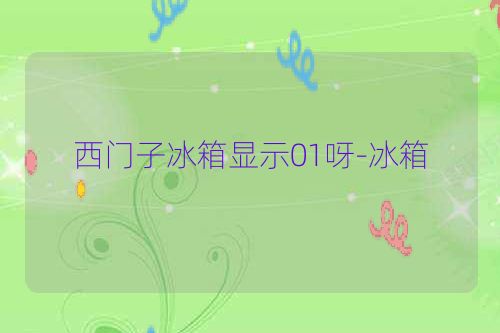 西门子冰箱显示01呀-冰箱