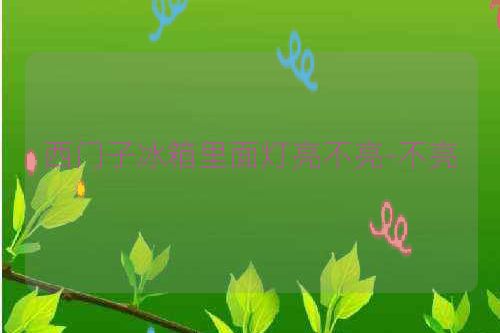 西门子冰箱里面灯亮不亮-不亮