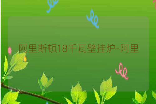阿里斯顿18千瓦壁挂炉-阿里