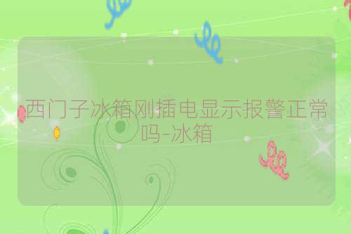 西门子冰箱刚插电显示报警正常吗-冰箱