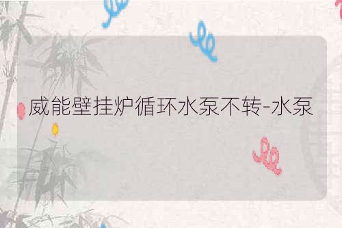 威能壁挂炉循环水泵不转-水泵