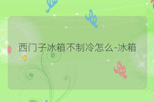 西门子冰箱不制冷怎么-冰箱