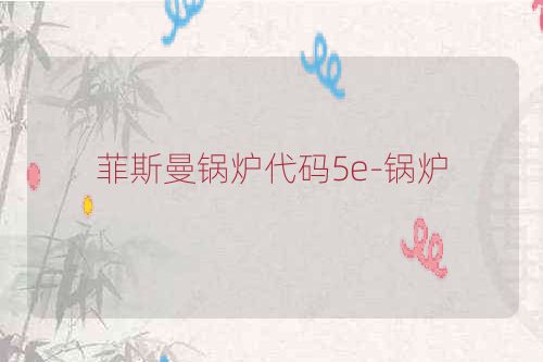 菲斯曼锅炉代码5e-锅炉