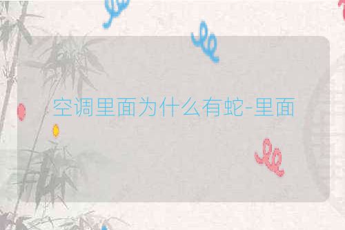 空调里面为什么有蛇-里面