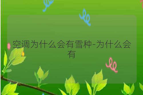 空调为什么会有雪种-为什么会有