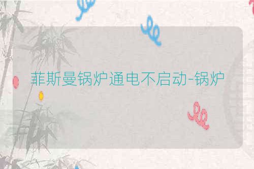 菲斯曼锅炉通电不启动-锅炉