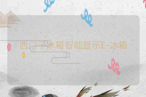 西门子冰箱智能显示E-冰箱