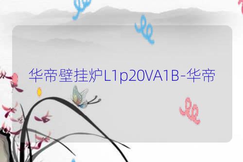 华帝壁挂炉L1p20VA1B-华帝