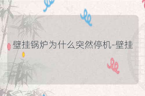壁挂锅炉为什么突然停机-壁挂
