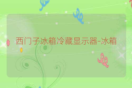 西门子冰箱冷藏显示器-冰箱