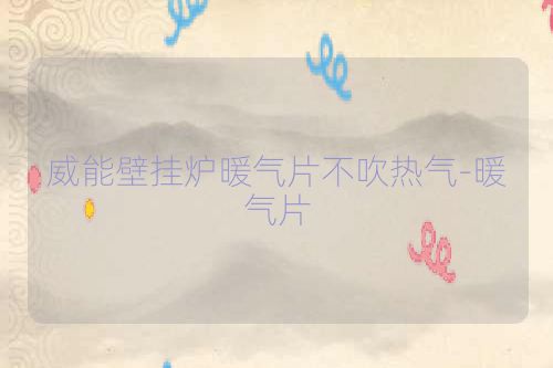 威能壁挂炉暖气片不吹热气-暖气片