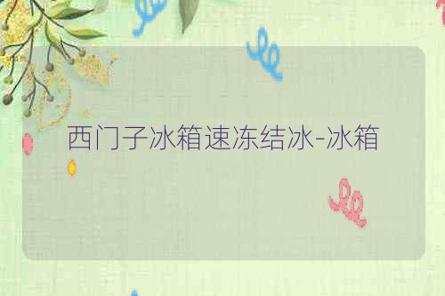 西门子冰箱速冻结冰-冰箱