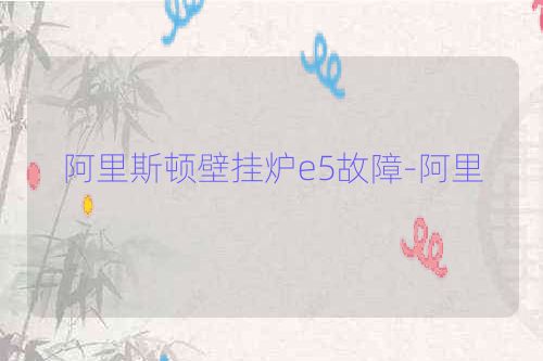 阿里斯顿壁挂炉e5故障-阿里