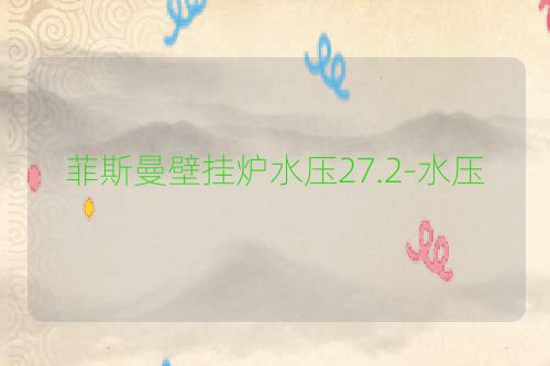 菲斯曼壁挂炉水压27.2-水压