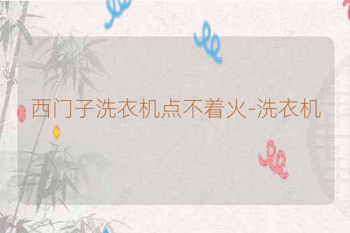 西门子洗衣机点不着火-洗衣机