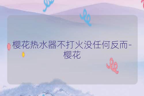 樱花热水器不打火没任何反而-樱花