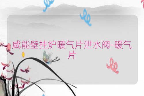 威能壁挂炉暖气片泄水阀-暖气片