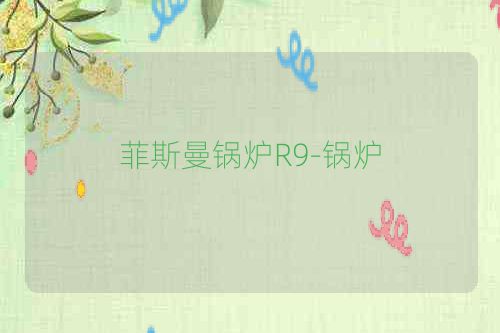 菲斯曼锅炉R9-锅炉