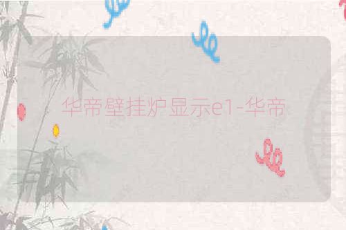 华帝壁挂炉显示e1-华帝
