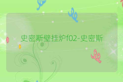 史密斯壁挂炉f02-史密斯